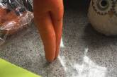 Подборка снимков самой соблазнительной моркови. ФОТО
