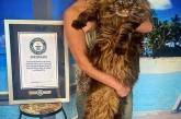 В Италии отыскали самого длинного кота в мире. ФОТО