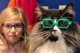 Кошка рекламирует очки для детской оптики. ФОТО