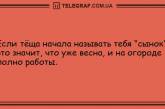 Смех повышает иммунитет: забавные анекдоты на утро. ФОТО