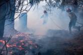 Лесные пожары уничтожили сотни домов в Аргентине. ФОТО