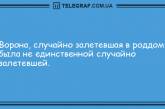 Шутки, которые сделают ваш вечер незабываемым: подборка смешных анекдотов. ФОТО