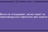 Хватит грустить - веселье продолжается: новые анекдоты на вечер. ФОТО