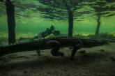Подводная прогулка с крокодилами. ФОТО