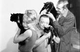 Кастинг черных котов в Голливуде, 1961г. Фото