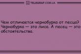 Карантин веселью не помеха: подборка смешных анекдотов. ФОТО