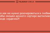 Ударная доза положительных эмоций: утренние анекдоты для самых грустных. ФОТО