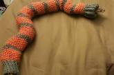 Змеи в вязаных свитерах на снимках. ФОТО