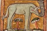 Как в Средневековье художники изображали слонов. ФОТО
