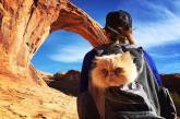 В поход вместе с кошкой из Instagram. ФОТО