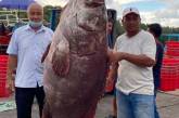 В Малайзии мужчина поймал рыбу весом в 161 кг. ФОТО