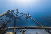 Захватывающие подводные снимки от Джейсона Вашингтона. ФОТО