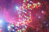 ДНК человека может пережить полет в космос