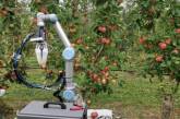 В Австралии создали робота для сбора урожая яблок. ВИДЕО