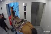 В Израиле опубликовали видео с лошадью в лифте. ВИДЕО