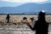 Люди начали очистку озера Уру-Уру в Боливии. ФОТО