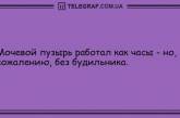 Настроение не покинет вас: прикольные анекдоты на день