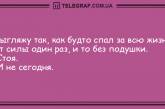 Самое время улыбнуться: подборка уморительных анекдотов 