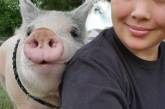 Девушка спасла больного поросенка: теперь он «самый счастливый свин». ФОТО