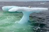 Рыбаки подумали, что нашли тюленя, плывущего на айсберге, но затем они подплыли ближе. ФОТО