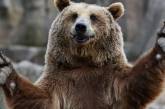 На балансе "Укрзализныци" нашли двух медведей