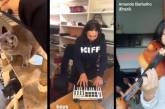 Кот записал трэк с музыкантами из разных стран. ВИДЕО