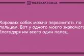 Улыбка с самого утра: самые позитивные анекдоты. ФОТО