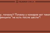 Уделите минутку для шутки: анекдоты, которые поднимут настроение на целый день