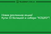 Много смеха и позитива в этот солнечный день: новые шутки. ФОТО