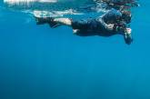 Удивительные подводные снимки от Дэвида Гирша. ФОТО