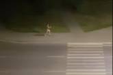 Ночью в Луцке по проспекту бегал голый мужчина. ВИДЕО