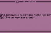 День точно не пройдет даром: уморительные анекдоты для хорошего настроения