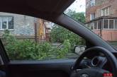 В Сети показали последствия урагана в Ровно. ФОТО