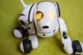 Роботизированная собака Zoomer - новое поколение игрушек