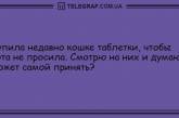 Озари мир своей улыбкой: порция веселых шуток на утро. ФОТО