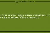 Угорала даже Несмеяна: вечерние анекдоты, которые вас рассмешат