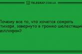 Все, что вам нужно, это хорошее настроение: подборка веселых анекдотов