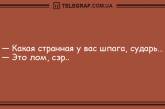 Антидот от грусти: уморительная порция веселых анекдотов (ФОТО)