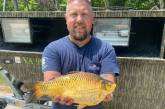 Рыболов поймал в реке огромную золотую рыбку (ФОТО)