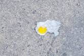 В Днепре жарили яйца на асфальте (ФОТО)