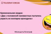 Прочитал прикольчик - получил задорчик: веселые анекдоты 