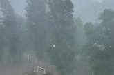 В Харькове ураган валил деревья и торговые палатки (ВИДЕО)