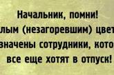 Подборка забавных карточек про работу