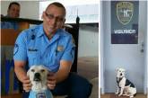 Бездомный пес нашел работу в полицейском участке (ФОТО)