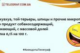 Для тех, кто встал не с той ноги: анекдоты, которые заставят вас смеяться (ФОТО)