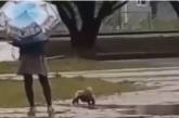 В России женщина выгуляла ребенка в луже в одних подгузниках (видео)