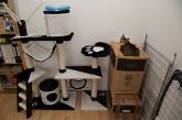 Домики для кошек и непостижимая кошачья логика (ФОТО)