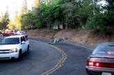 Две зебры устроили забег по калифорнийскому городу