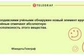 Проведем лето с хорошим настроением: свежая порция утренних анекдотов (ФОТО)