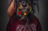Портреты собак в образе людей (ФОТО)